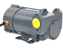 Gespasa Iron-50 Ex 24 Gasoline Pump