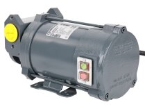 Gespasa Iron-50 Ex 24 Gasoline Pump