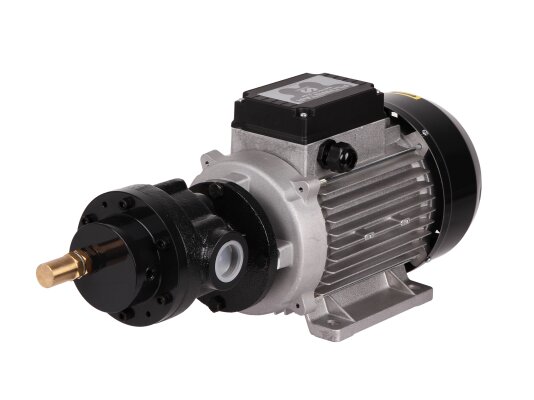 Oil transfer pump Samoa FHVT-70/9, art: 561610