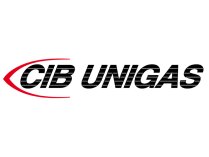 CIB Unigas 71-2P-B3/B14 550W Motor