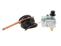 Imit 100 C LS1 Thermostat 7045