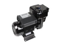 Piusi E 300 diesel fuel pump, art: F00321000