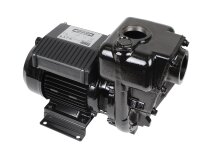 Piusi E 300 Diesel Fuel Pump