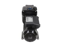 Piusi E 300 Diesel Fuel Pump