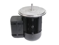 Weishaupt WM-D112/140-2/3K0 electric motor