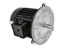 HANNING 550W Electric Motor, art. 13013124