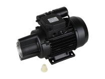 Riello RL46/550 Motor, 550W, art: 3013829.