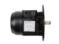 Simel 13/3011 Electric Motor, 0.55 kW