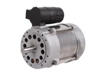 Simel ZD 1-4/2196-32 Electric Motor