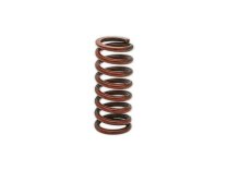 Siemens AGA21 Spring, art: S55851-Z301-A100