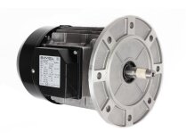 Riello electric motor, 3014206R
