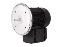Weishaupt WM-D112/140-2/3K5 electric motor, 21520407300