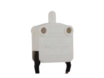 Weishaupt switch, 701251