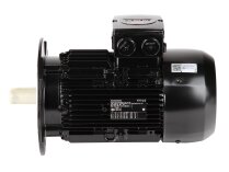 Elco electric motor, 65314873
